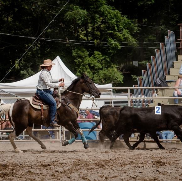 Meet your Posher, Pam - Picture 4 of 4